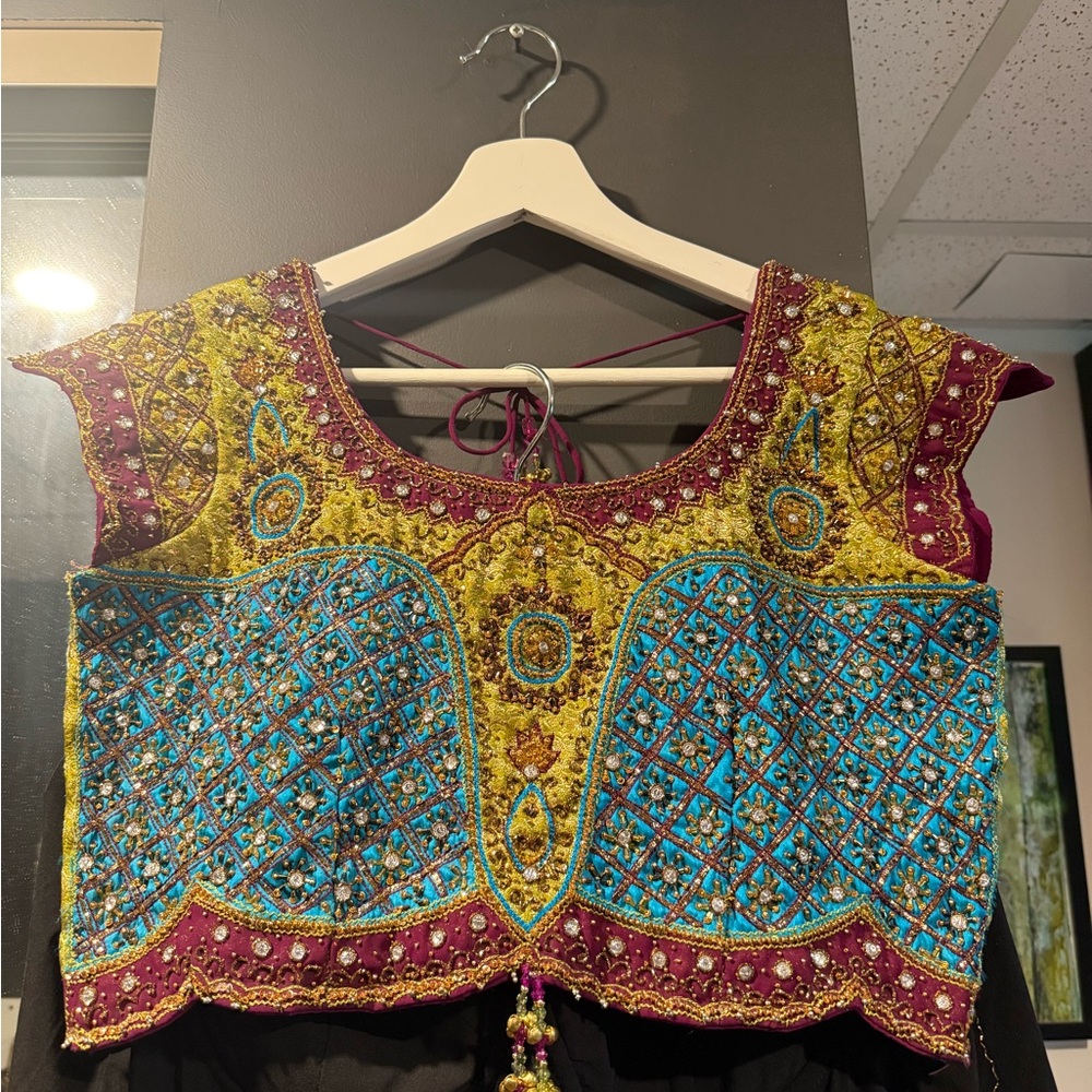 Embroidered Multicolor Crop Top